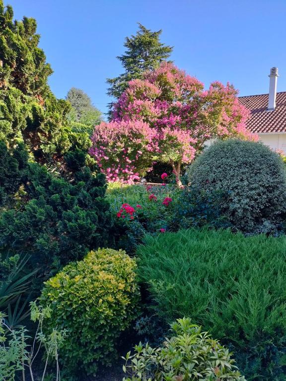 Chambre D'Hotes Les Hortensias Gelos Zewnętrze zdjęcie